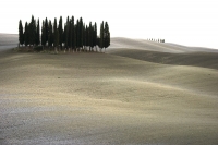 Travel